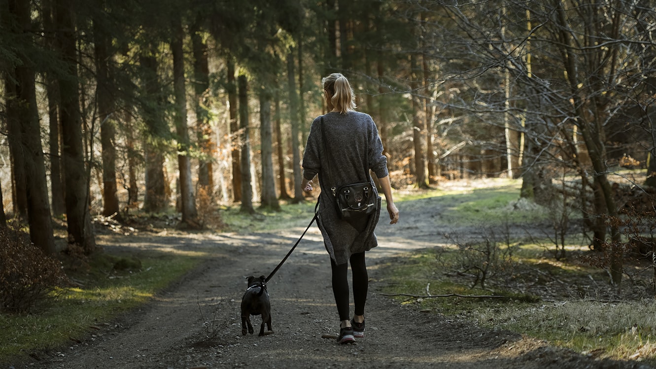serviceLanding.dog-walking.hero.imageAlt